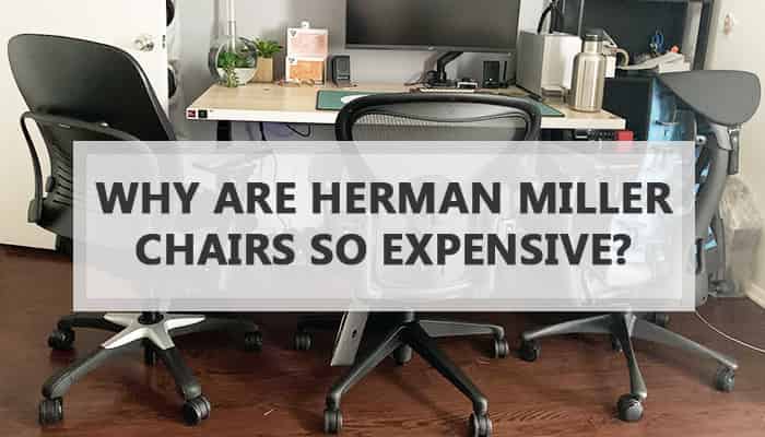 Why Are Herman Miller Chairs So Expensive? What Makes It Too Costly?